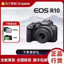 Canon R10 camera Photography videography digital student travel live video r10 starter micro-single-phase machine 3152