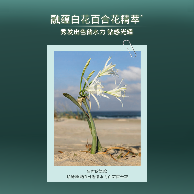 【菲灵发道FD】专业美发护发90mL绿宝瓶洗发水氨基酸清洁秀发柔亮 - 图2