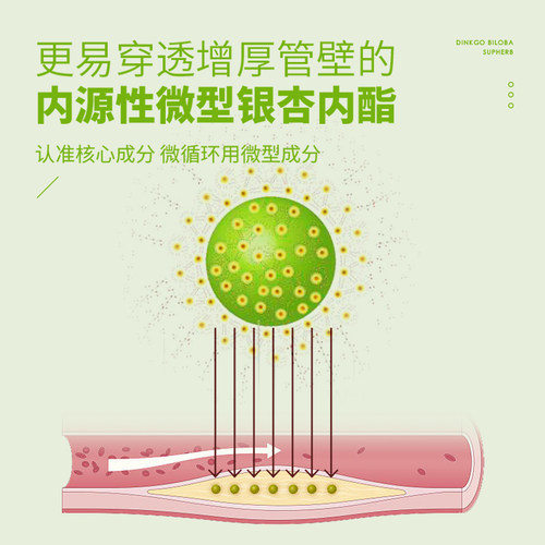 【自营】素赫伯Supherb营养大脑增强补脑专注记忆力银杏叶提取物 - 图1