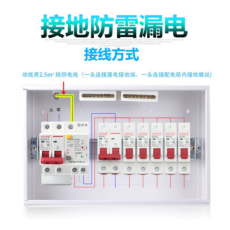 施电接地防雷断路器漏电保护器触电保护开关家装2P220V63a浪涌 - 图2