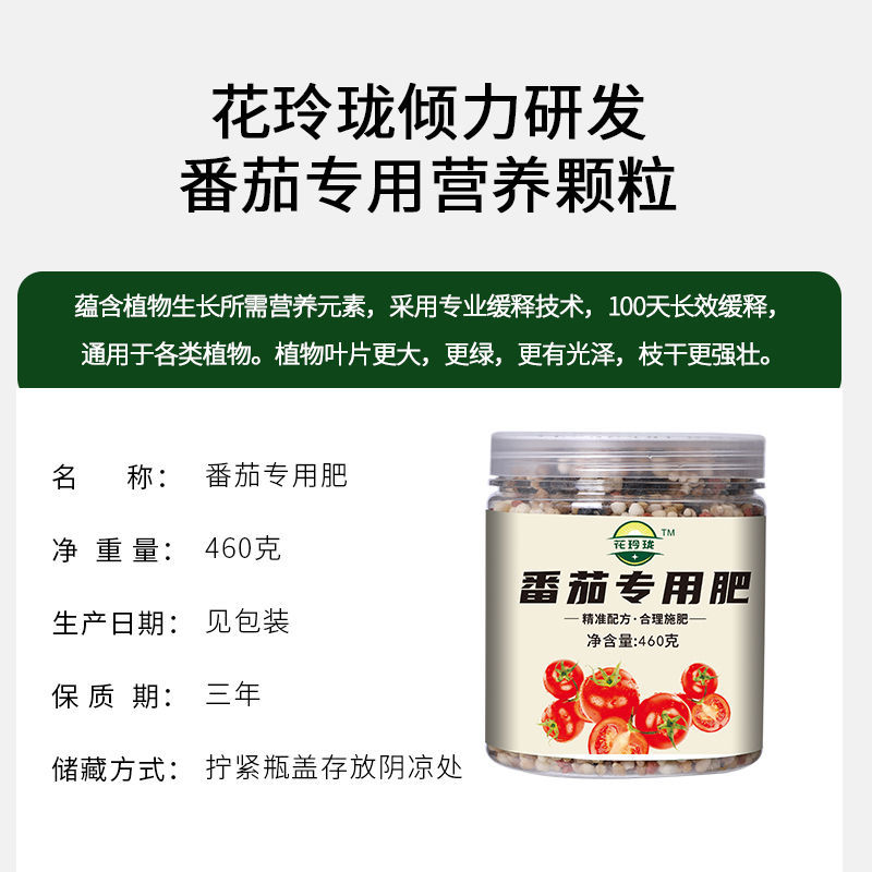 番茄专用肥西红柿专用肥圣女果营养液小番茄肥料盆栽蕃茄种子挂果 - 图2