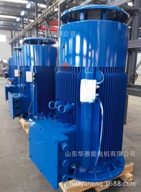 皖南HM2电机特制加长轴HM2-100L2-4-3电机G高原型法兰专用带衬套