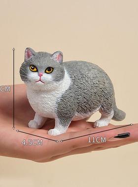 小肥猫仿真猫咪桌面萌宠车载摆件创意树脂工艺品宠物橘猫虎斑三花