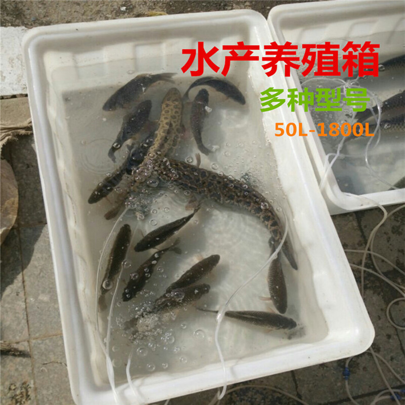 牛津料塑料方箱塑胶方桶养鱼虾水产养殖箱PE水箱长方形推布车内胆-图1