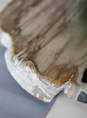 天然木化石茶盘整块大号木化玉茶台简约家用非乌金石茶托盘