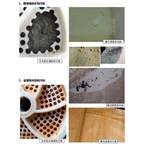 润膜反渗透RO膜工业用/商用4040和8040 - 图2