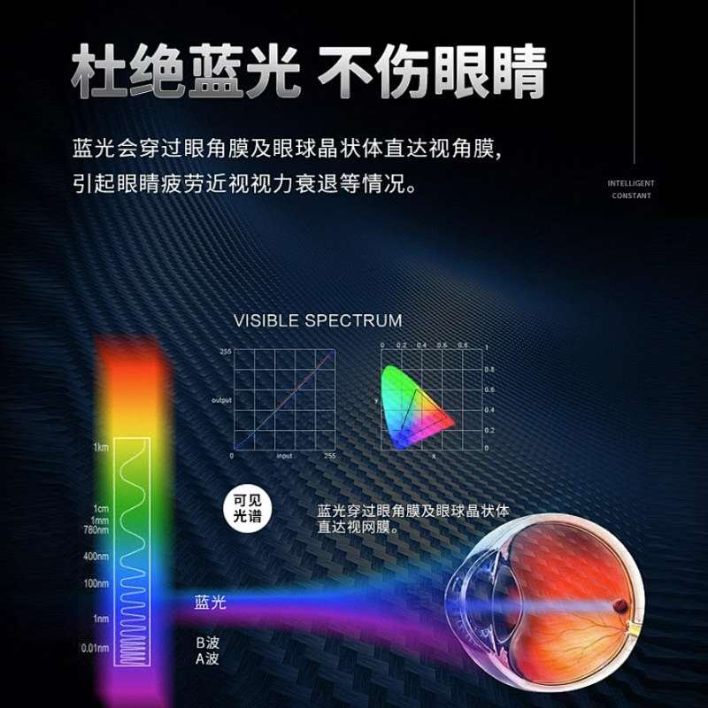 隐形风扇灯2025新款吊扇灯客厅餐厅卧室房间一体带电风扇灯具 - 图1