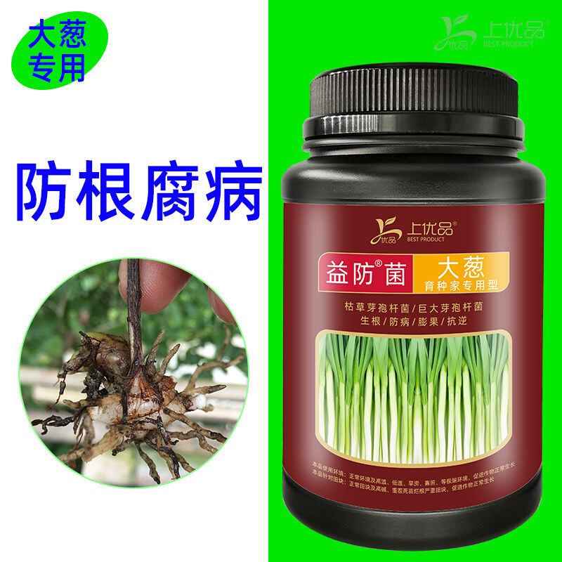 大葱专用肥微生物菌剂生根壮苗葱白拉长增产促生长防病干尖1.2kg - 图1