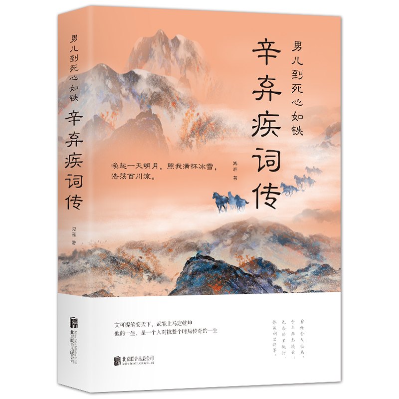 辛弃疾词传 正版 男儿到死心如铁 中国古诗词赏析宋词书籍国学经典古诗词 青少年中小学生课外阅读古诗词书籍