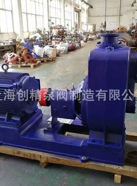 宽流道无堵塞不锈钢化工自吸排污泵125ZW120-20自吸污水污泥泵