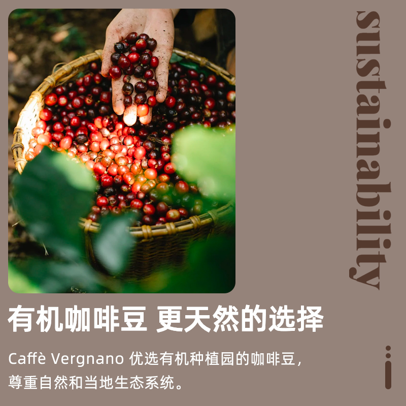 CaffeVergnano意大利咖啡豆深度烘焙咖啡粉 250g ZB - 图1