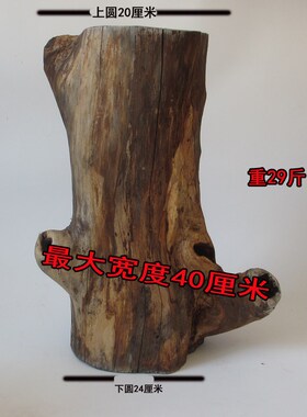 原木墩树桩树干拍摄道具手工园艺枯木装饰木摆件木底座自然风化木