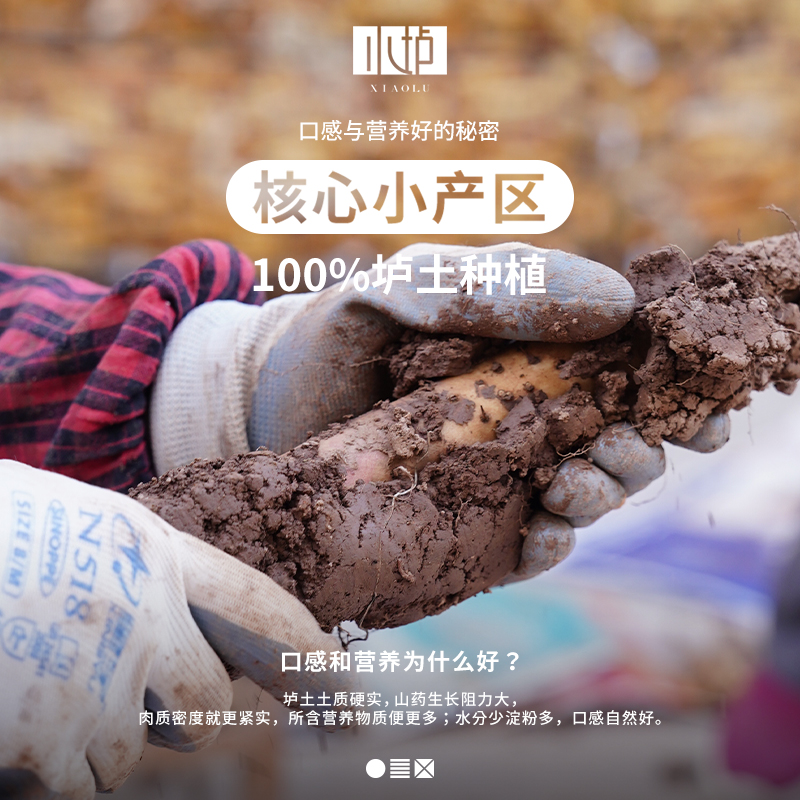 小垆富硒垆土铁棍山药50cm5斤河南焦作正宗垆土种植整箱怀山药