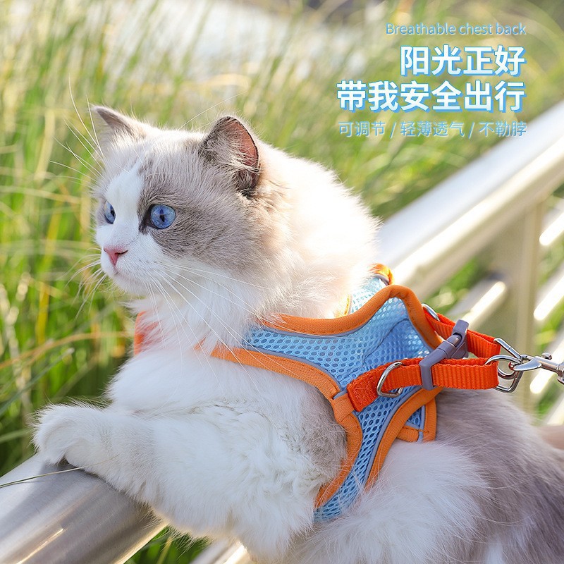 宠物牵引绳背心式猫咪牵引绳狗狗胸背反光遛猫绳宠物用品遛狗绳 - 图1