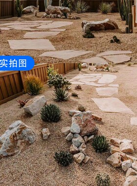 伯坡凰砾c石黄色碎石庭院铺装黄石子花园造景脚踏砾石枯山装饰摆