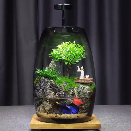 养鱼缸生态微景观苔藓办公室桌面微景观绿植盆景生态瓶缸绿植造景 - 图1