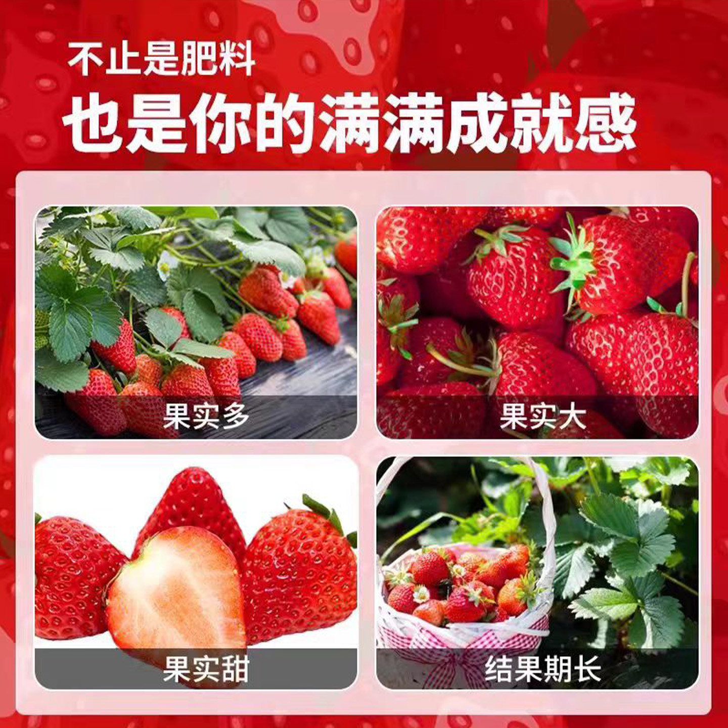 草莓专用肥料颗粒复合肥农用蔬菜水果膨大增甜缓释型通用肥料底肥,淘宝优惠券,粉丝福利购,淘宝优惠卷