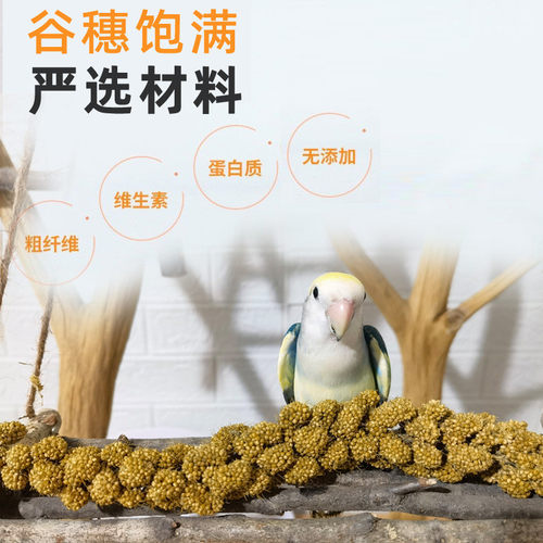 鹦鹉天然谷穗带壳黄谷子小米玄凤虎皮饲料鸟粮鸟食文鸟珍珠鸟零食 - 图1