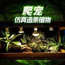 Reptile climbing spotting rearing box View Ecological Rainforest Cylinder Emulation Plant Tortoise Lizard Lizard Chameleon Desert Decoration
