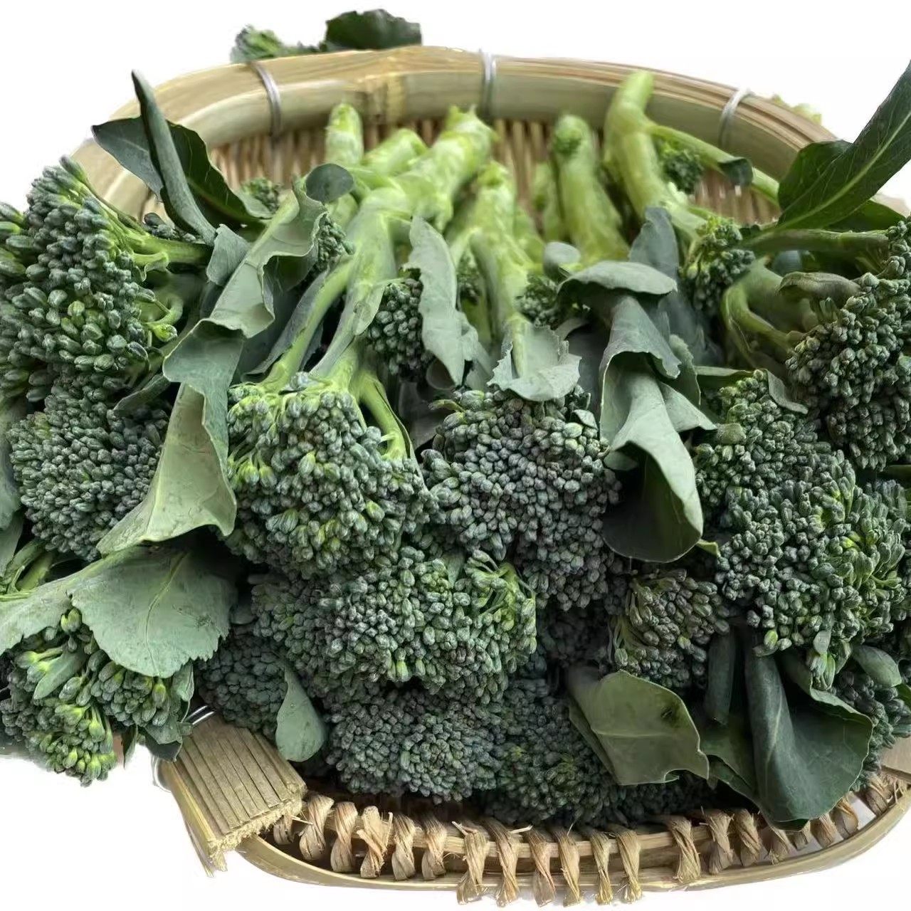 正宗西兰苔苗秧苗西蓝花芥蓝苗西洋芥兰苗四季菜园庭院秋冬季种植,淘宝优惠券,粉丝福利购,淘宝优惠卷