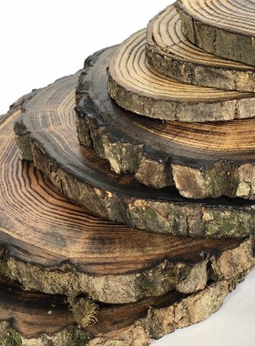 圆木片碳化手绘饰品原木片年轮复古木头片木片画木头画背景墙装饰