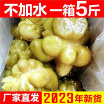 Squeeze the vegetable head whole grain 5 fragrant pickled vegetables with big head vegetables Next meal Fried Vegetables core Fresh Zhengzong Fuling Sichuan