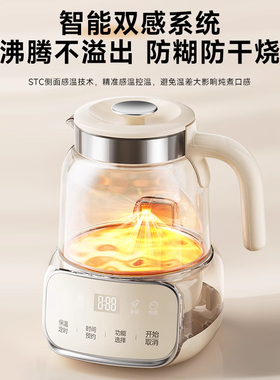 全玻璃养生壶家用/办公室小型