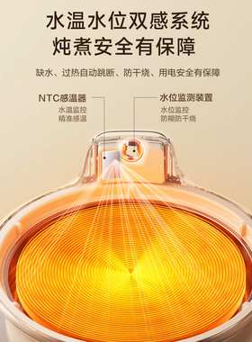 苏泊尔全玻璃养生壶家用煮茶壶多