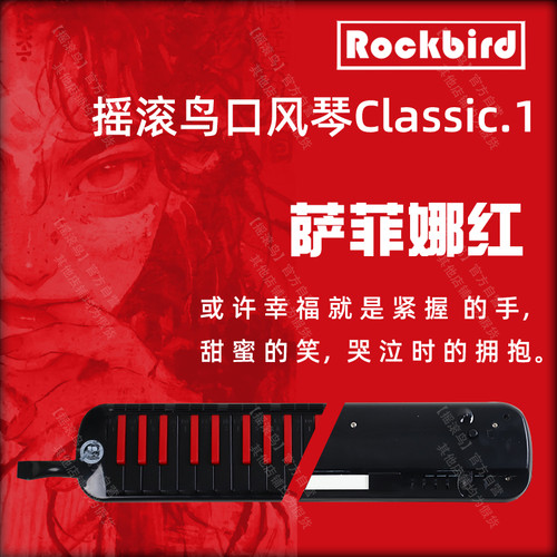 【摇滚鸟】口风琴新品首发 进口音簧37键口风琴专业级 送99教学课 - 图0