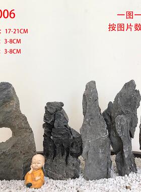 抱树石天然造景石客厅田园精品盆景桌面庭院附树石送礼装饰品摆件