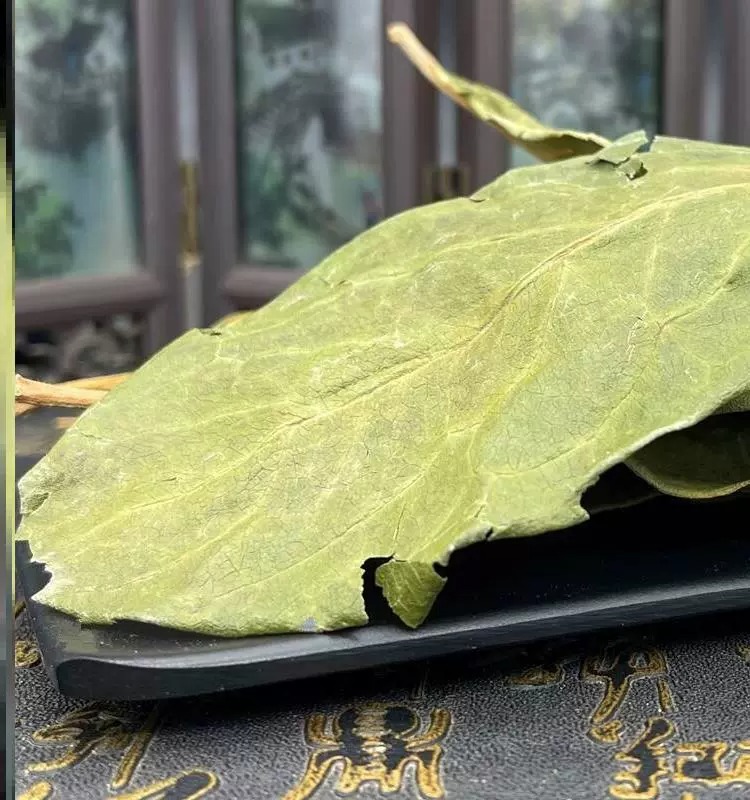 柿子叶500g柿子叶茶中药材柿叶霜后柿子树叶绛新鲜干货泡水喝血压