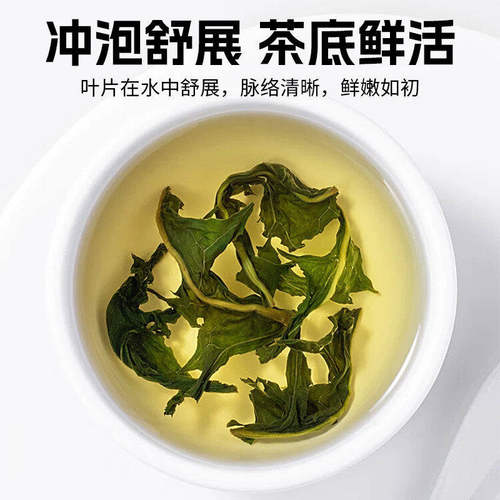 蒲公英茶正品新鲜散官方旗舰店长白山特选级浦公英叶根婆婆丁泡水 - 图0