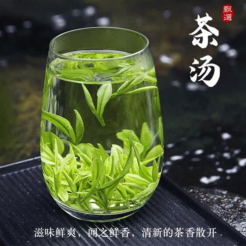 白茶安吉特级2023年新茶礼盒装珍稀口粮绿茶250g雨前散装正宗茶叶 - 图1