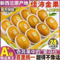 New Zealand Jiapi Exotic Fruit Golden Fruits Fresh Fruit Sweet Season Imported Yellow Heart Macaque Peach Cisa Gift Box