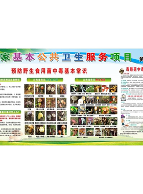 起源于生态 创新于绿色 追求于健康海报云南野生菌展板墙贴墙纸