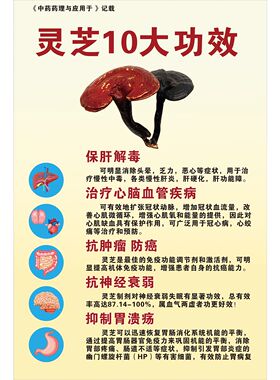 灵芝野生中华名贵中海报展板灵芝的功效作用野生赤灵芝的功效墙贴