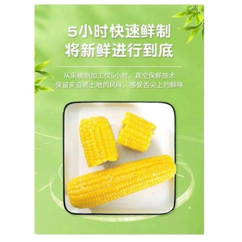 【24小时现货直发】东北甜糯黄玉米200g/根*10支装香甜软糯好味道 - 图3