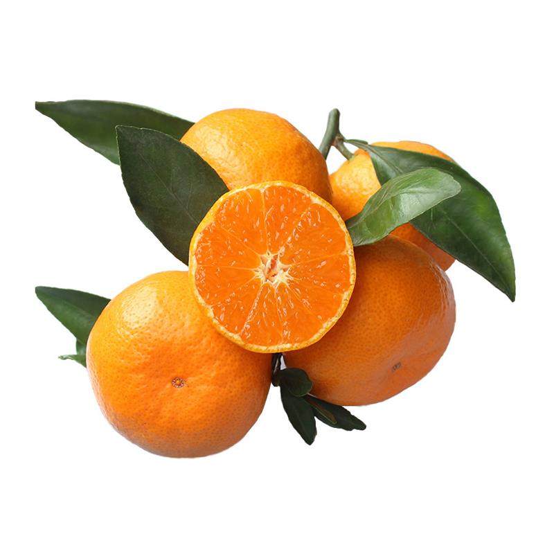 正宗临海涌泉蜜桔新鲜高山无核橘子10斤台州黄岩蜜橘当季水果现摘,淘宝优惠券,粉丝福利购,淘宝优惠卷