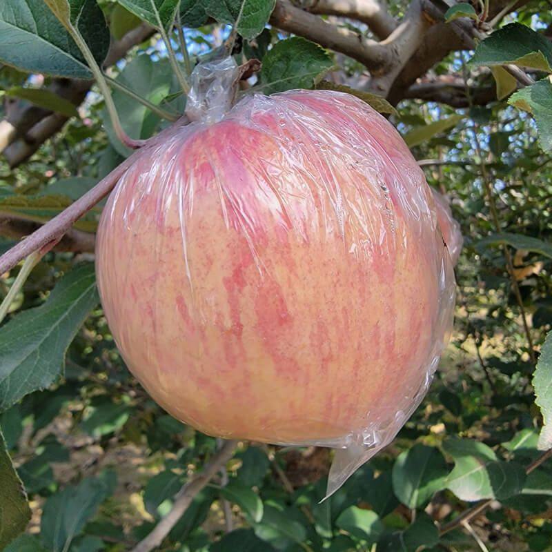 抱朴园冰糖心红富士苹果应季时令新鲜水果产地直发脆甜多汁,淘宝优惠券,粉丝福利购,淘宝优惠卷