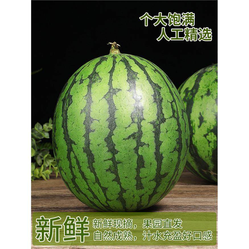 头茬麒麟西瓜当季新鲜水果现摘薄皮大西瓜沙瓤有籽甜西瓜正宗包邮,淘宝优惠券,粉丝福利购,淘宝优惠卷