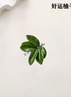 柚子叶去晦气幸运亚克力胸针