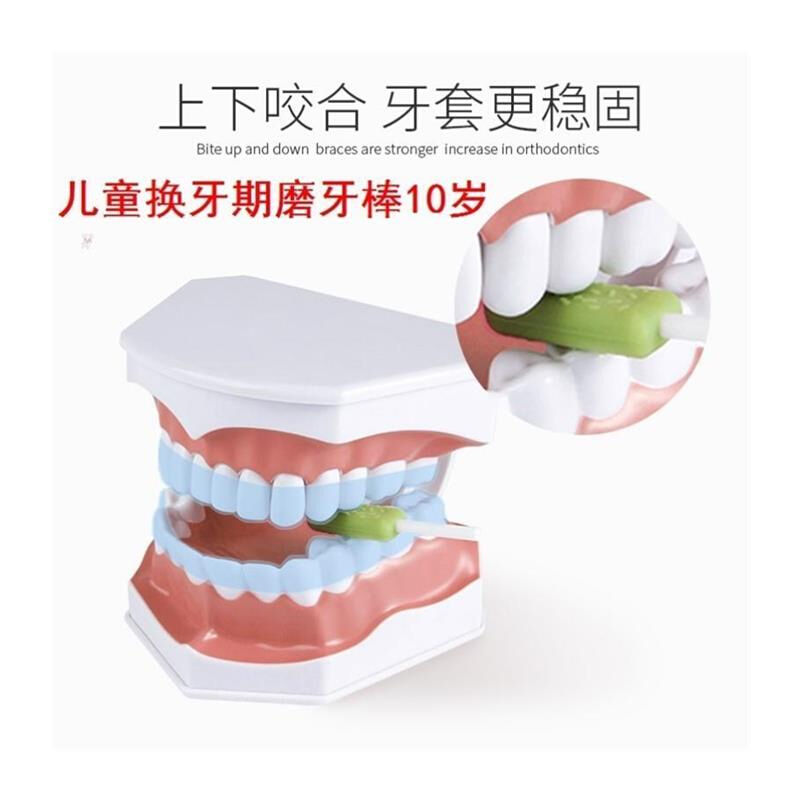 L儿童换牙期磨牙棒10岁678岁硅胶咬牙棒成人大人通用的学生用 - 图3