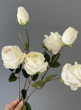 焦AL-851排边仿道真玫瑰花油3头雪山玫瑰花婚庆摄画影具婚礼花布