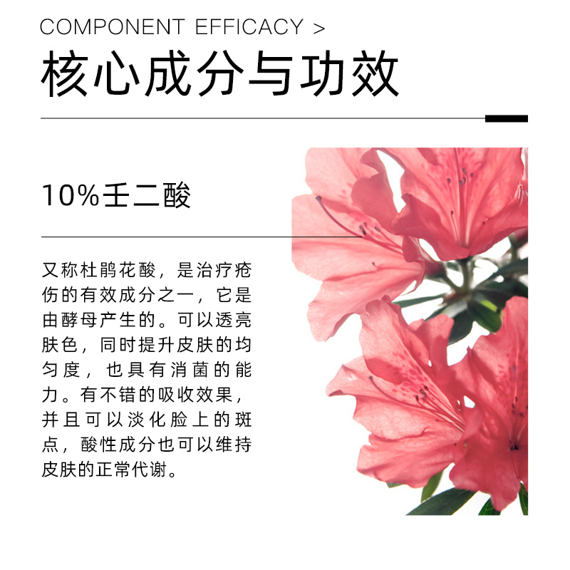 （品牌授权）The Ordinary 10%杜鹃花酸壬二酸抗氧化祛痘去闭口 - 图1