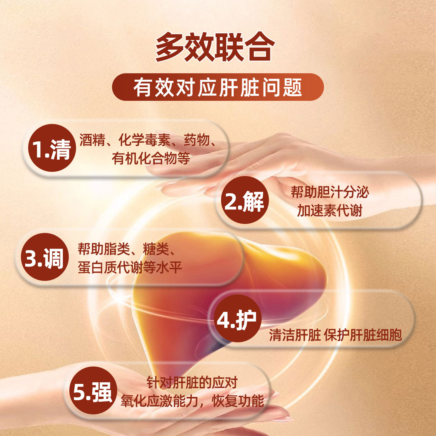GLYMATE美国进口奶蓟草300mg护肝片姜黄养肝净化熬夜解酒降转氨酶