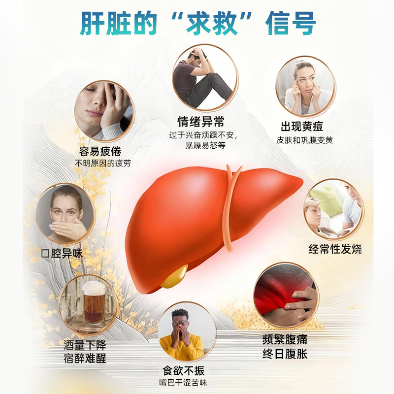 GLYMATE美国进口奶蓟草300mg护肝片姜黄养肝净化熬夜解酒降转氨酶