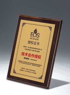 木质授权奖牌水晶奖杯颁奖定制E刻字木质牌匾木托荣誉聘书定做