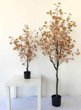 仿植物真装饰绿植盆栽摆件仿秋色CQ0014金钱树 尤加利叶假真 现货