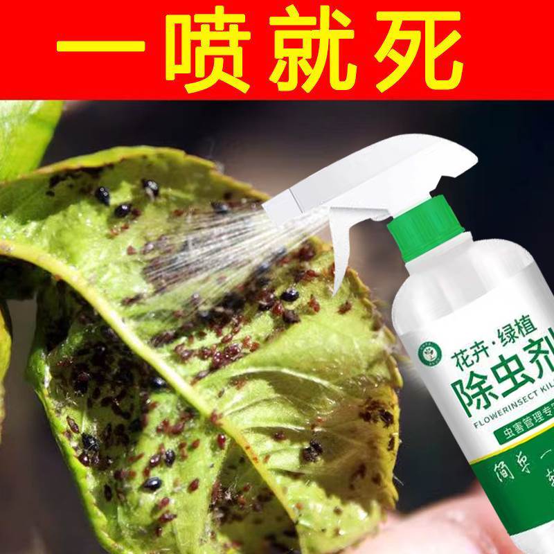 植物花卉专用除虫剂厨房卫生间小飞虫通用杀虫灭虫除菌 - 图2