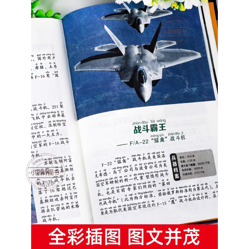【官方正版】中国儿童兵器百科全书 彩图注音版 小学生现代枪械大百科坦克空战导弹航空系列6-8-9岁知识飞机兵器武器大炮课外书籍